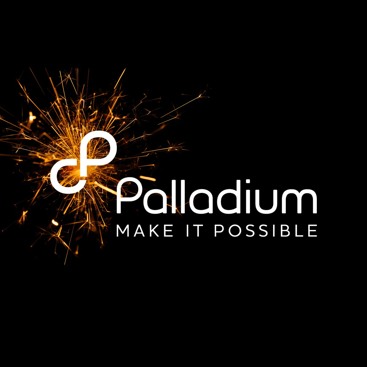 (c) Thepalladiumgroup.com
